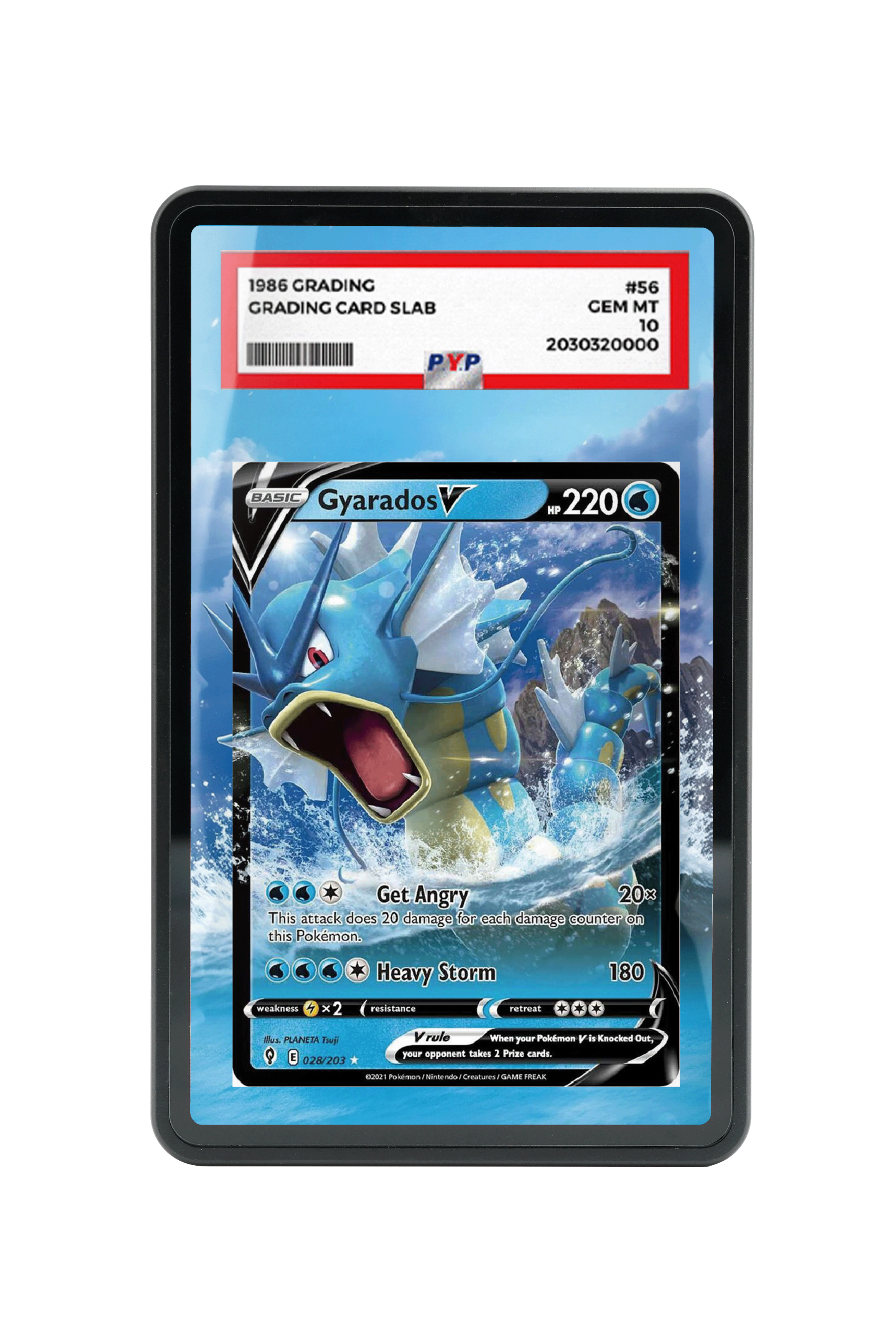 Gyarados V-Sword & Shield-Evolving Skies-[028/203 ]- PSA GRADE