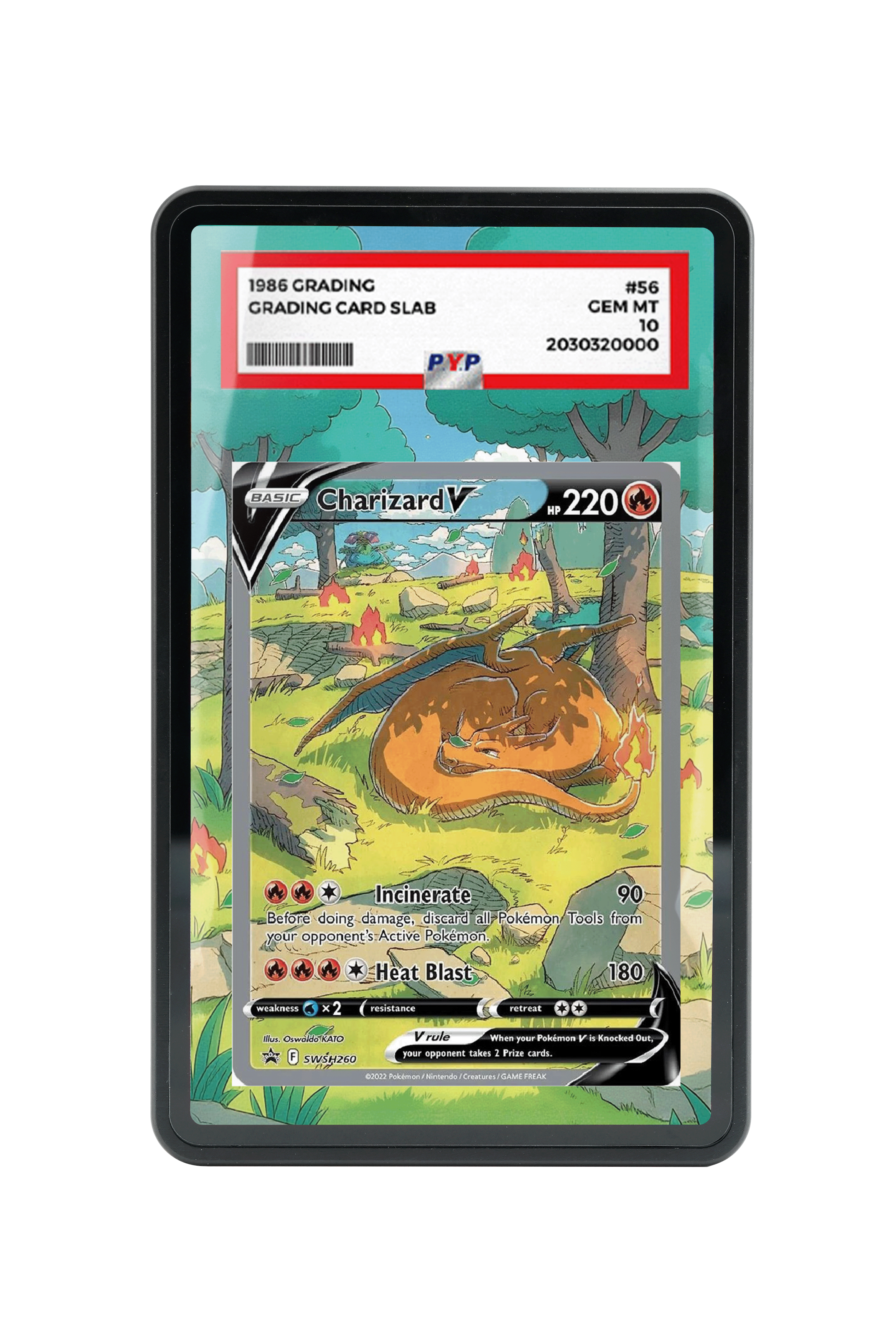 Charizard V-Sword & Shield-Sword & Shield Promo Cards-[SWSH260 ]- PSA GRADE