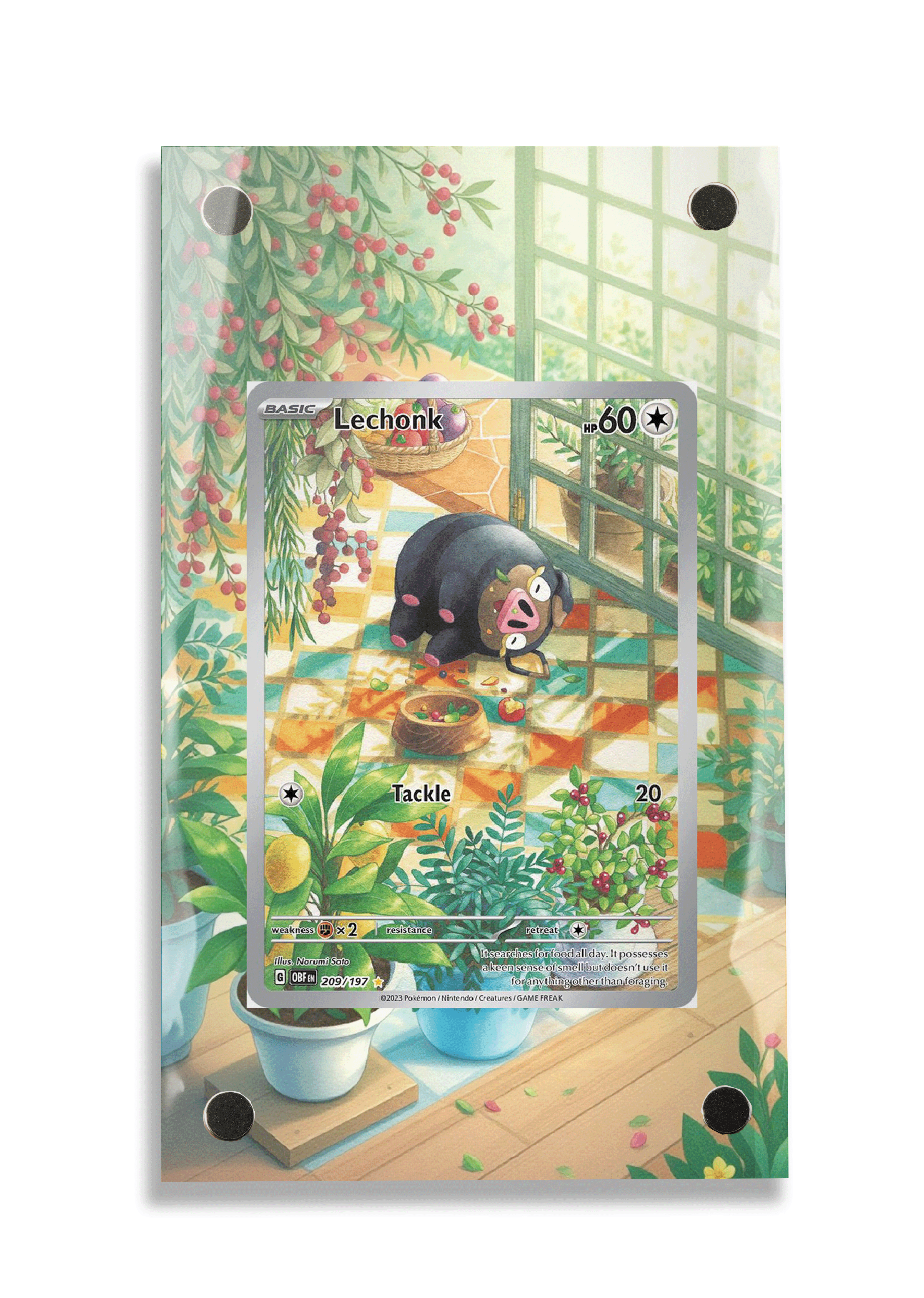 Pokémon TCG Lechonk Scarlet & Violet - Obsidian Flames #209/197 Display Frame | Gem Mint Sleeve