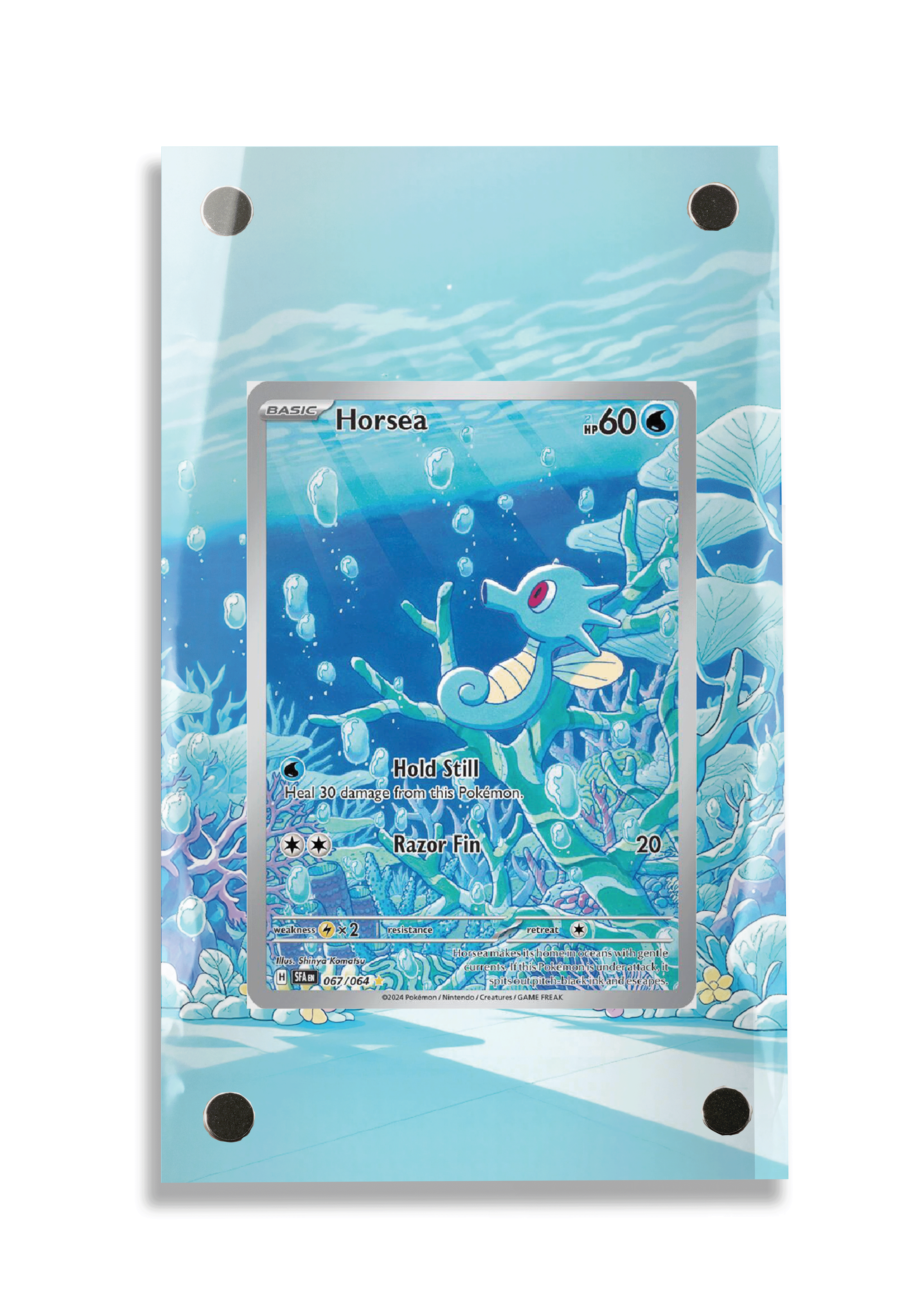 Pokémon TCG Horsea Scarlet & Violet - Shrouded Fable #067/064 Display Frame | Gem Mint Sleeve