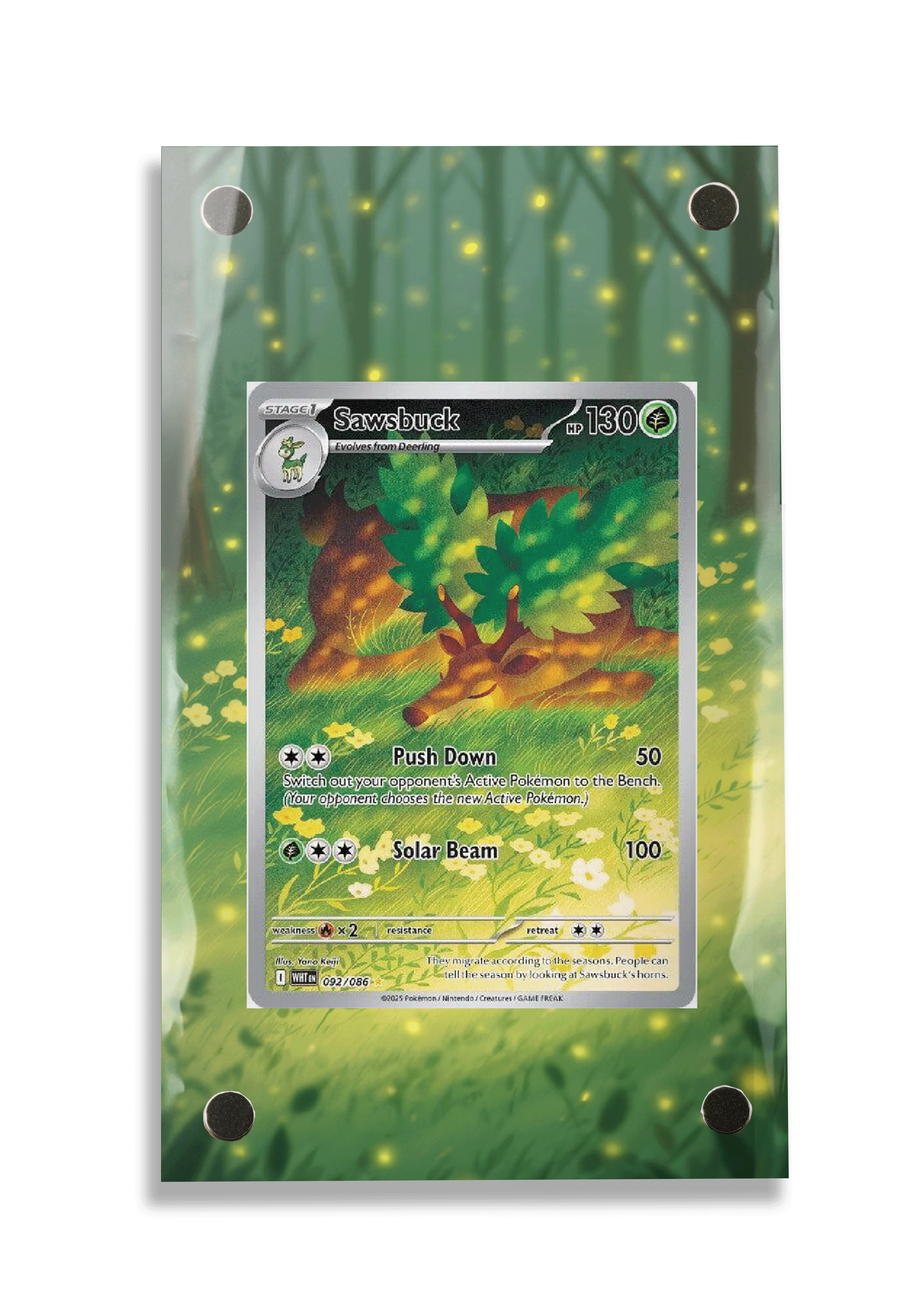 Pokémon TCG Sawsbuck Scarlet & Violet - White Flare #092/086 Display Frame | Gem Mint Sleeve