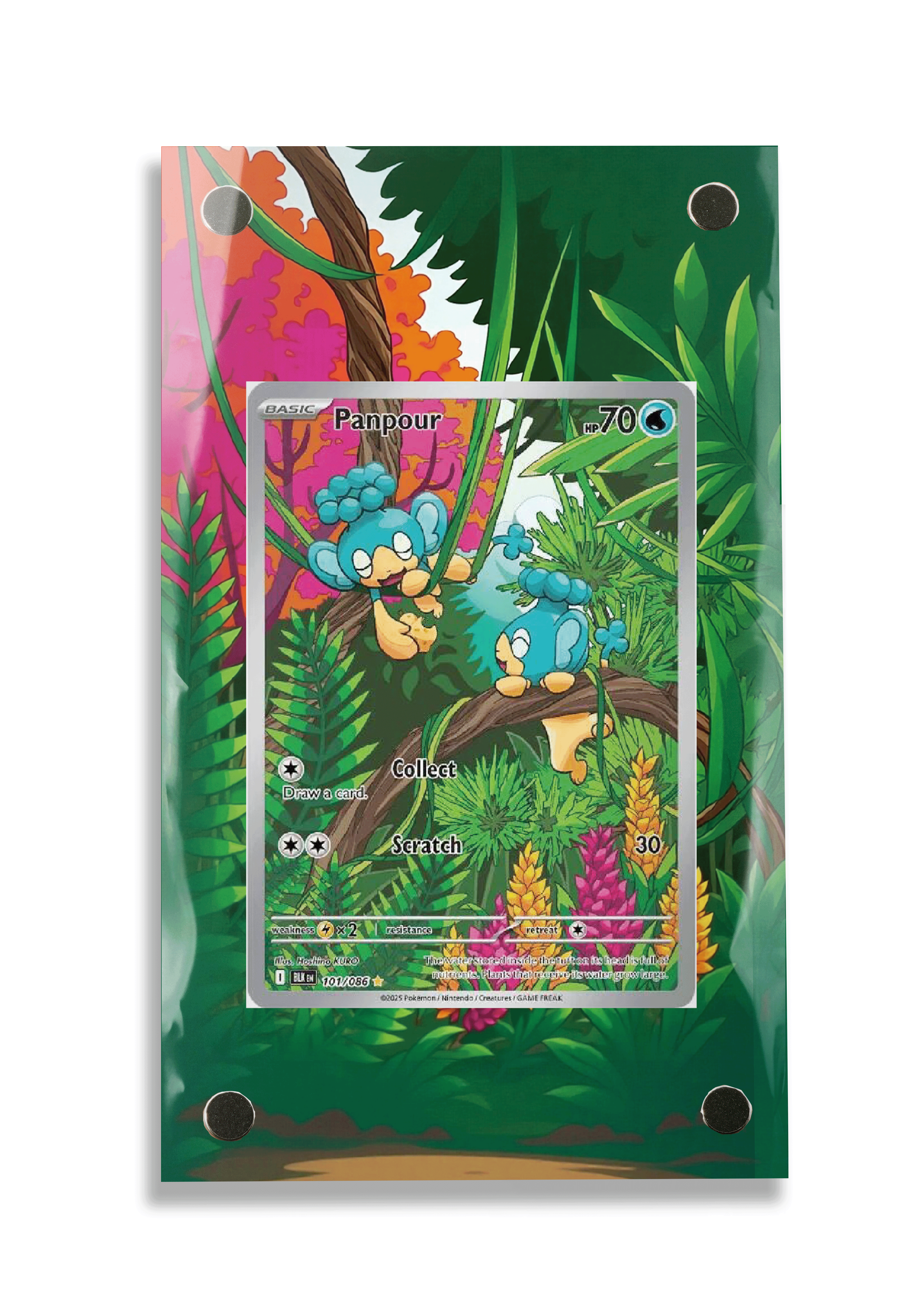 Pokémon TCG Panpour Scarlet & Violet - Black Bolt #101/086 Display Frame | Gem Mint Sleeve