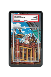 Pokémon TCG Timburr Scarlet & Violet - Black Bolt #125/086 PSA Grade Case | Gem Mint Sleeve