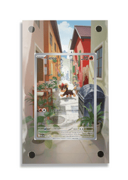 Pokémon TCG Litleo Mega Evolution #139/132 Display Frame | Gem Mint Sleeve