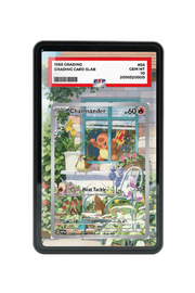 Pokémon TCG Charmander Scarlet & Violet - Scarlet & Violet Promo Cards #44 PSA Grade Case Black frame with matching extended artwork