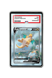 Pokémon TCG Dragonite V (Alternate Full Art) Sword & Shield - Evolving Skies #192/203 PSA Grade Case Silver frame with matching extended artwork
