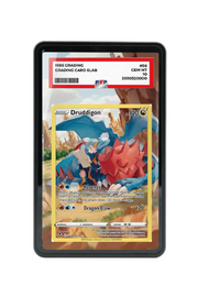 Pokémon TCG Druddigon Sword & Shield - Silver Tempest Trainer Gallery #TG09/TG30 PSA Grade Case Black frame with matching extended artwork