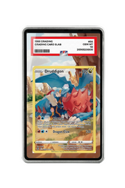 Pokémon TCG Druddigon Sword & Shield - Silver Tempest Trainer Gallery #TG09/TG30 PSA Grade Case Silver frame with matching extended artwork