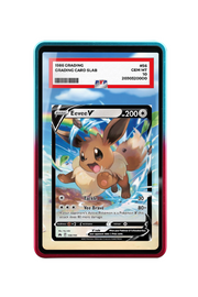 Pokémon TCG Eevee V Sword & Shield - Crown Zenith #108/159 PSA Grade Case R & B frame with matching extended artwork