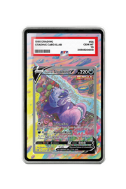 Pokémon TCG Galarian Slowking V (Alternate Full Art) Sword & Shield - Chilling Reign #179/198 PSA Grade Case Silver frame with matching extended artwork