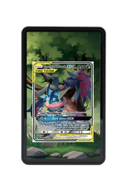 Greninja & Zoroark-GX Unbroken Bonds #201/214 Magnetic Card Holder with matching extended artwork
