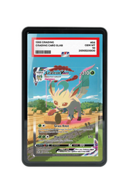 Pokémon TCG Leafeon VMAX (Alternate Art Secret) Sword & Shield - Evolving Skies #205/203 PSA Grade Case Black frame with matching extended artwork
