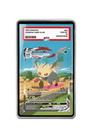 Pokémon TCG Leafeon VMAX (Alternate Art Secret) Sword & Shield - Evolving Skies #205/203 PSA Grade Case Silver frame with matching extended artwork