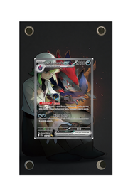 N's Zoroark ex Journey Together #185/159 Display Frame with matching extended artwork