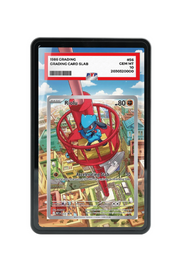 Pokémon TCG Riolu Mega Evolution - Mega Evolution Promo #10 PSA Grade Case Black frame with matching extended artwork