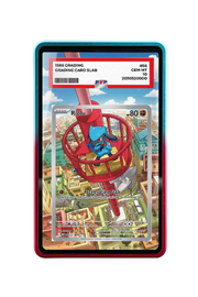 Pokémon TCG Riolu Mega Evolution - Mega Evolution Promo #10 PSA Grade Case R & B frame with matching extended artwork