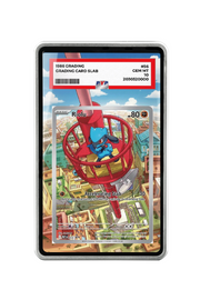 Pokémon TCG Riolu Mega Evolution - Mega Evolution Promo #10 PSA Grade Case Silver frame with matching extended artwork
