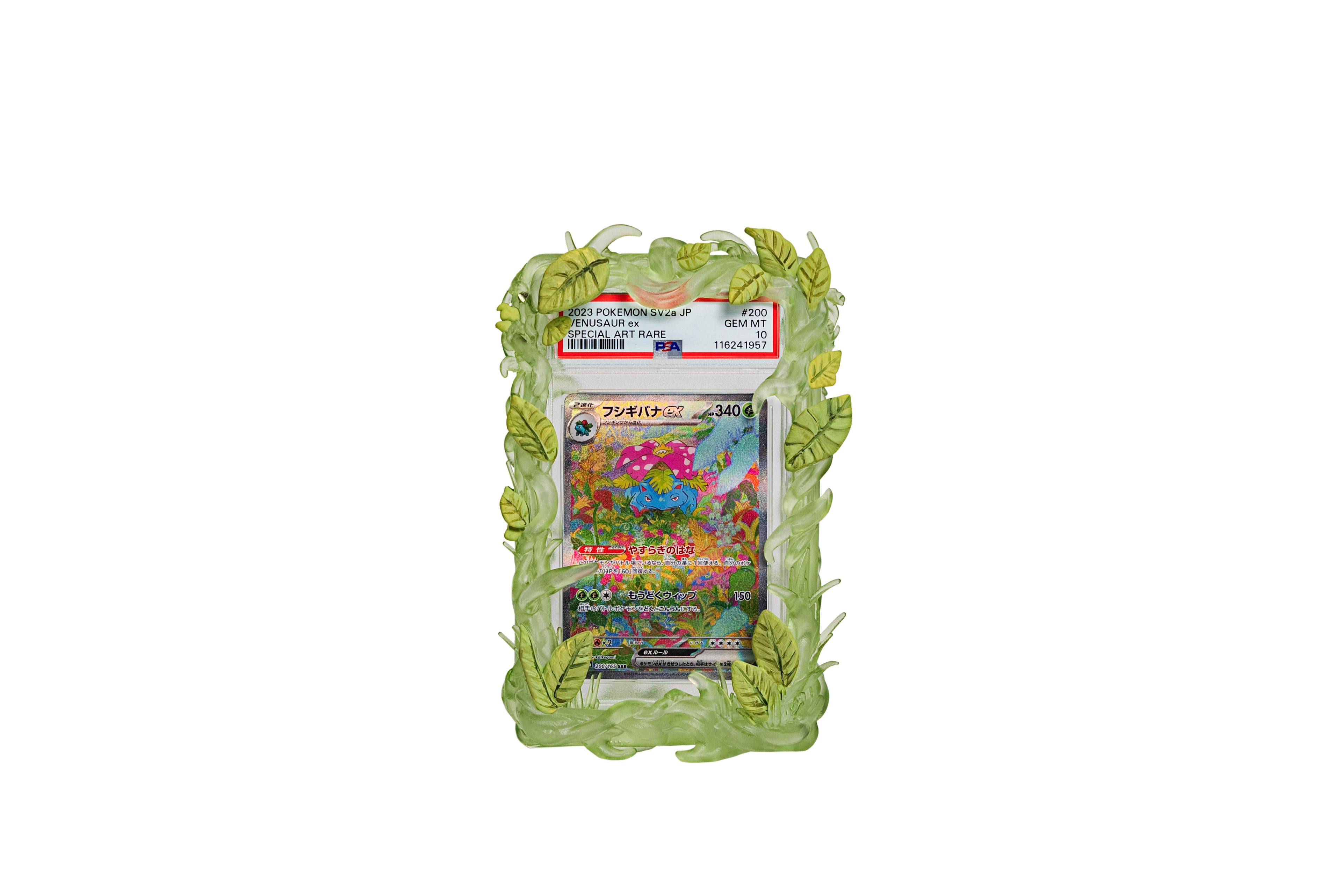 Pokémon Grass Type PSA Slab Case with leaf details